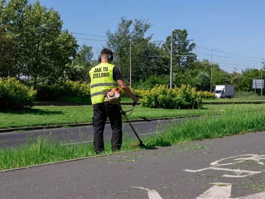 Utrzymanie zieleni dla firm Kraków